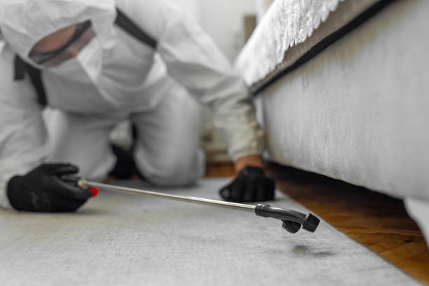 Professional Termite Control technician working in Crowley, LA