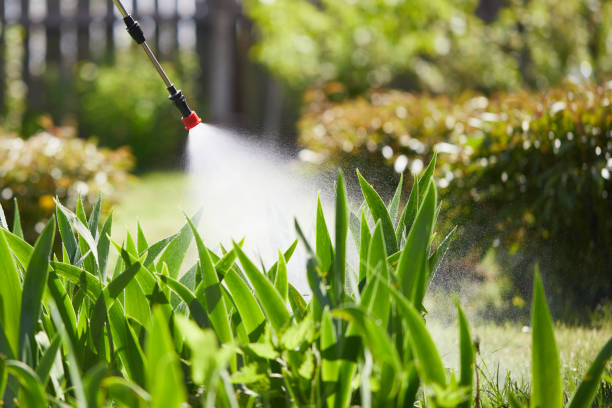 24/7 Emergency Termite Control experts in Crowley, LA
