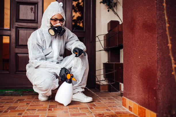 Reliable Termite Control contractor in Crowley, LA by Nex Pest Control