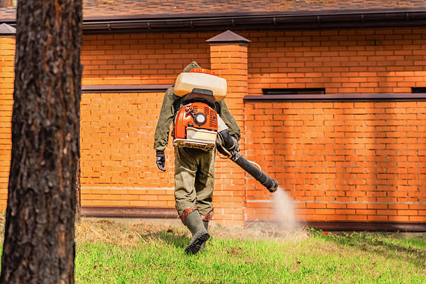 Top rated local Termite Control specialists in Crowley, LA